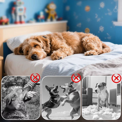Wellness4Pet™ Dog Calming Pheromone Diffuser Kit